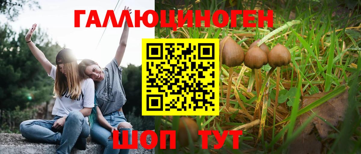 Галлюциногенные грибы Cubensis  Псилоцибиновые грибы MAGIC MUSHROOMS  как найти закладки  Вход с VPN  Березники 