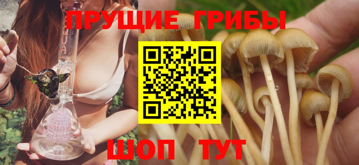 APVP Березники