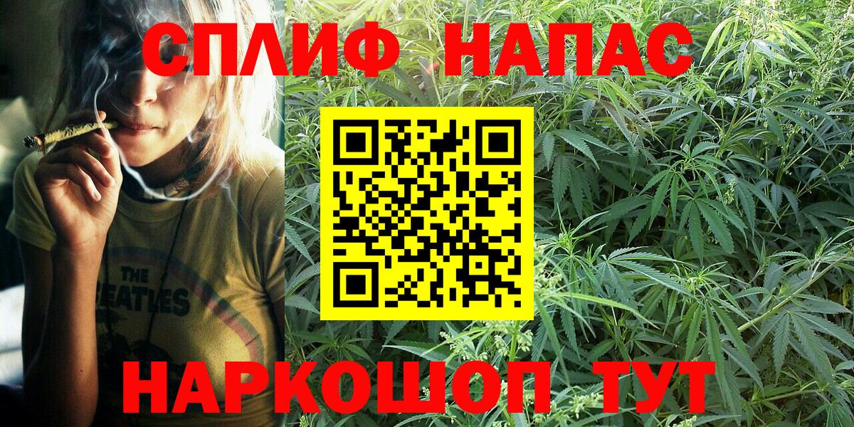 Бошки Шишки MAZAR Березники